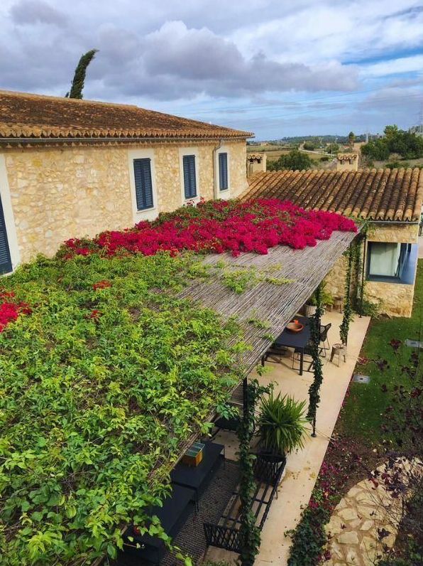Pergola mit Bougainvillea
