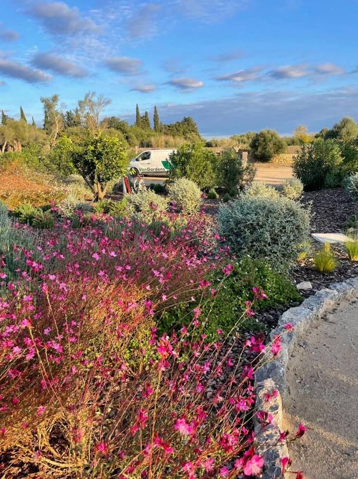 Flowering plants