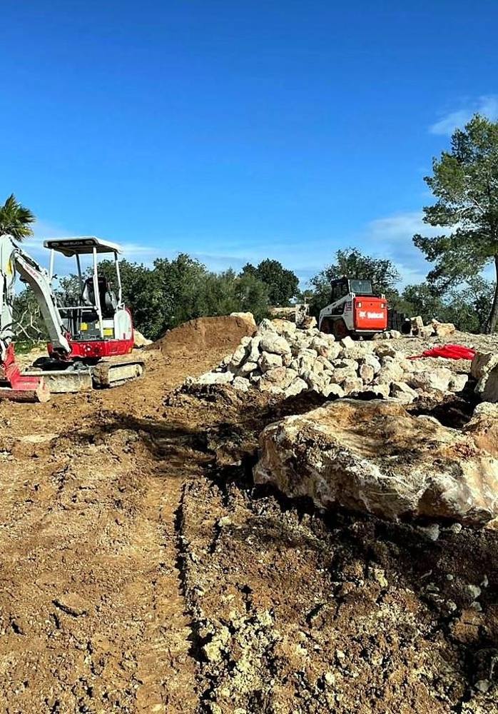 Clearing and earthworks