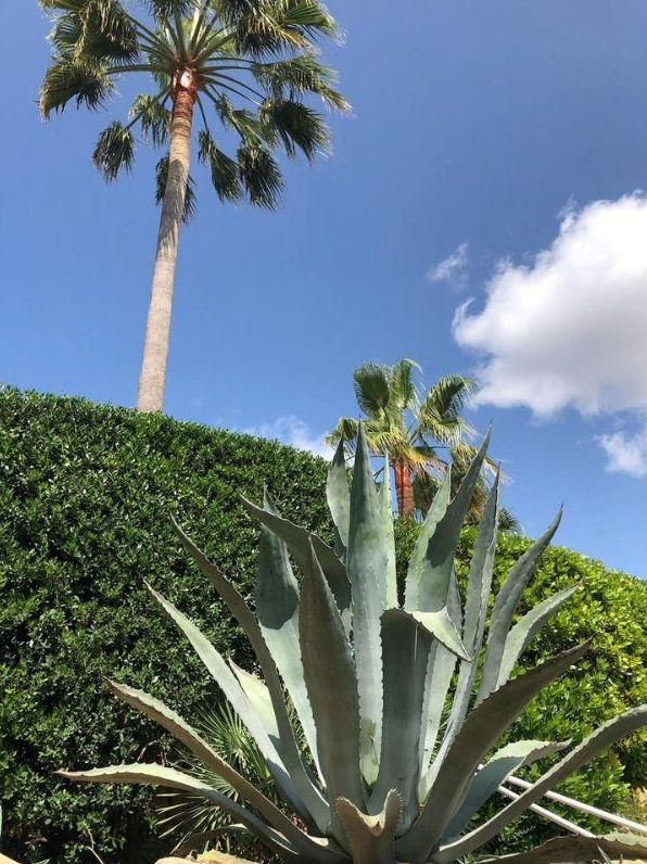 Garden pest control and spraying
